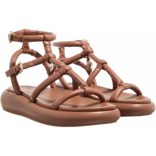 Sandalen - Venus02 - Gr. 35 (EU) - in - für Damen - Ash - Modalova