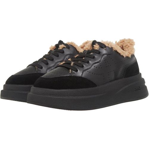 Sneakers - Impuls Fur - Gr. 36 (EU) - in - für Damen - Ash - Modalova