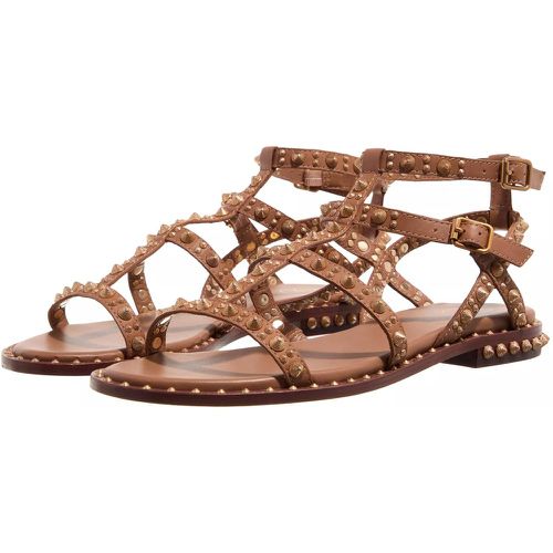 Sandalen - Pepsy02 - Gr. 35 (EU) - in - für Damen - Ash - Modalova