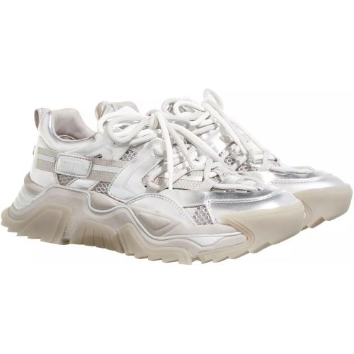 Sneaker - Kingdom-E Sneaker - für Damen - Steve Madden - Modalova