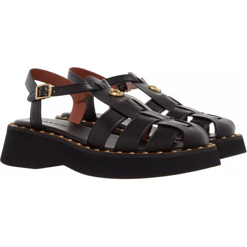 Sandalen & Sandaletten - Vivienne Leather Sandal - Gr. 36,5 (EU) - in - für Damen - Coach - Modalova