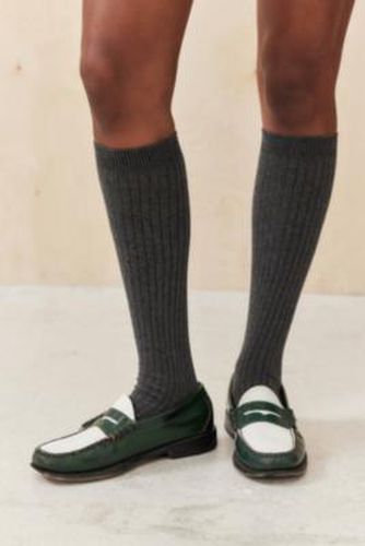 Ribbed Knee High Socks - Grey at Urban Outfitters - Out From Under - Modalova