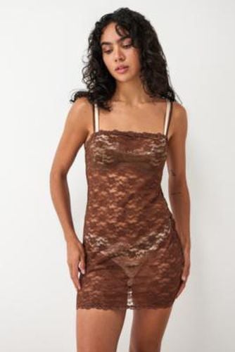 Stretch Lace Slip Dress - Chocolate L at Urban Outfitters - Out From Under - Modalova