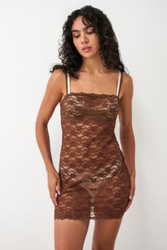 Stretch Lace Slip Dress - Chocolate S at Urban Outfitters - Out From Under - Modalova