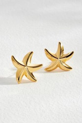 Starfish Earrings - Gold at Urban Outfitters - Zambah - Modalova