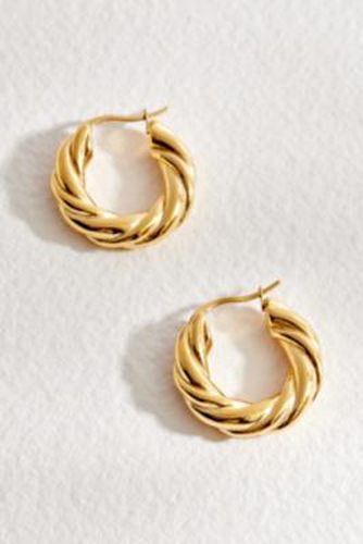 Olive Classic Gold Hoops Earrings - Gold at Urban Outfitters - Réalta - Modalova