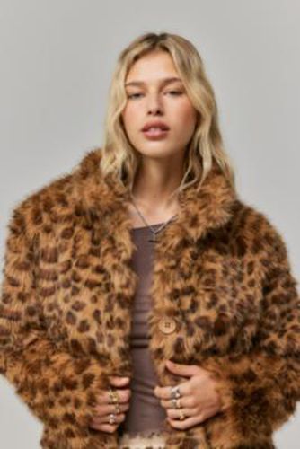 Jodi Leopard Print Crop Jacket 2XS at Urban Outfitters - Motel - Modalova