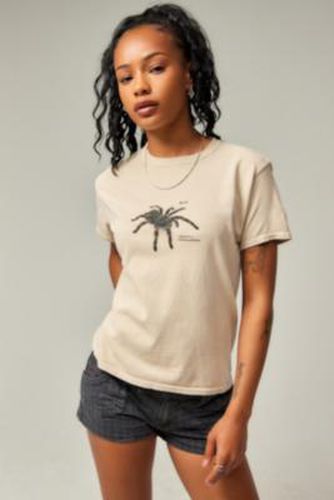 UO Tarantula T-Shirt - M/L at - Urban Outfitters - Modalova