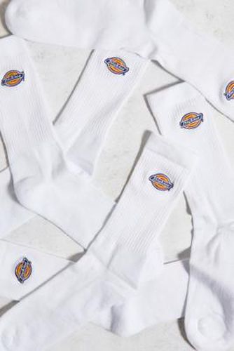 White Valley Grove Socks 3-Pack - White at Urban Outfitters - Dickies - Modalova