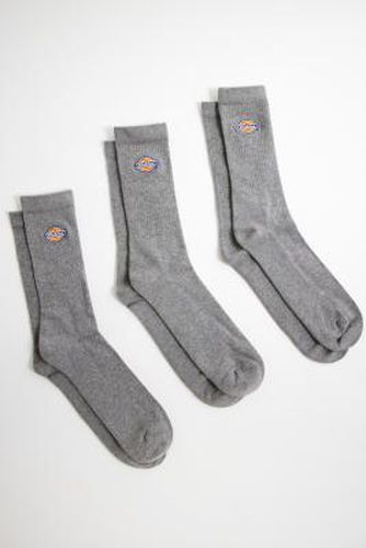 Grey Valley Grove Socks 3-Pack - Grey at Urban Outfitters - Dickies - Modalova
