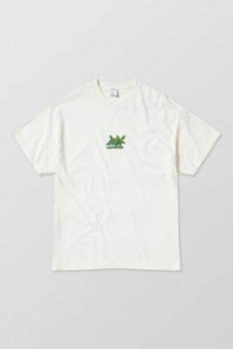 UO Mint Condition T-Shirt - White 2XS at - Urban Outfitters - Modalova
