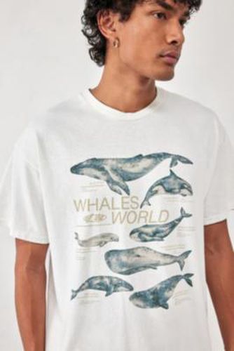 UO White Whales World T-Shirt - White M at - Urban Outfitters - Modalova