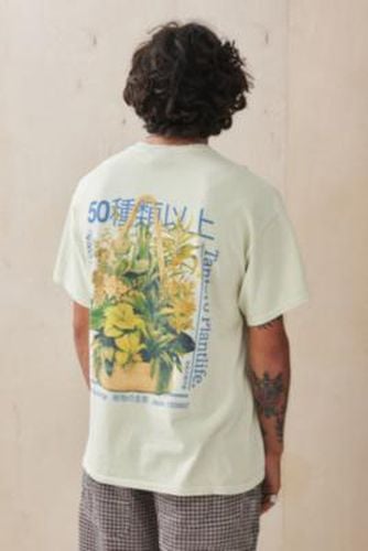 UO Hanging Plant T-Shirt - Cream S at - Urban Outfitters - Modalova