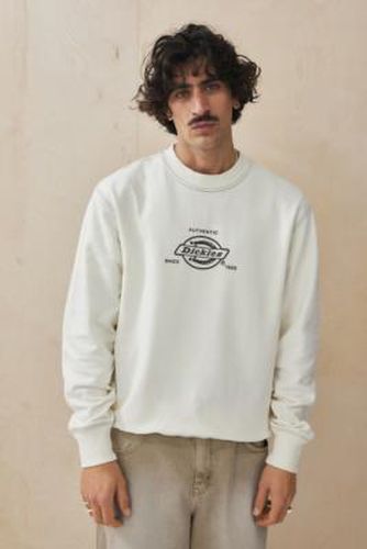 UO Exclusive Ecru South Hill Sweatshirt - L at Urban Outfitters - Dickies - Modalova