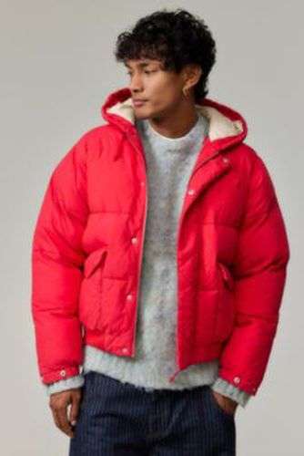 Cotton Puffer Jacket - S at Urban Outfitters - BDG - Modalova