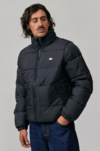 Waldenburg Puffer Jacket - M at Urban Outfitters - Dickies - Modalova