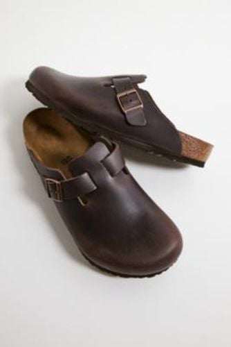 Habana Oiled Leather Boston Clogs - Brown UK 9 at Urban Outfitters - Birkenstock - Modalova