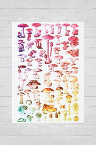 Poster "Rainbow Mushroom", 30X40 - Urban Outfitters - Modalova