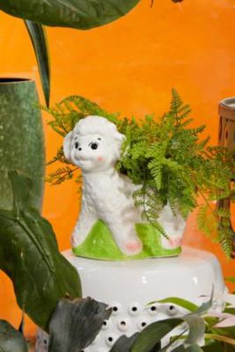 Lamb Planter - White ALL at - Urban Outfitters - Modalova