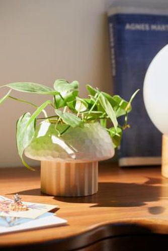 Mushroom Planter ALL at - Urban Outfitters - Modalova