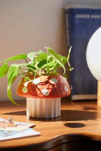 Red Mushroom Planter - Red ALL at - Urban Outfitters - Modalova