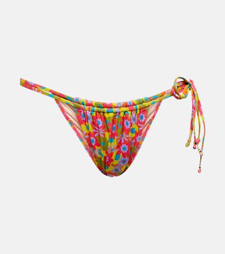 Slip bikini Seychelles con stampa - Bananhot - Modalova