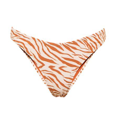 Rocky zebra-print bikini bottoms - Reina Olga - Modalova