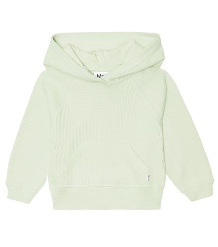 Sudadera con capucha Minelli de algodón - Molo - Modalova