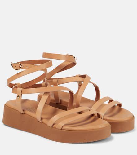 Aristea leather platform sandals - Ancient Greek Sandals - Modalova