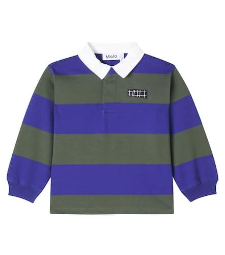 Relz striped cotton polo sweater - Molo - Modalova