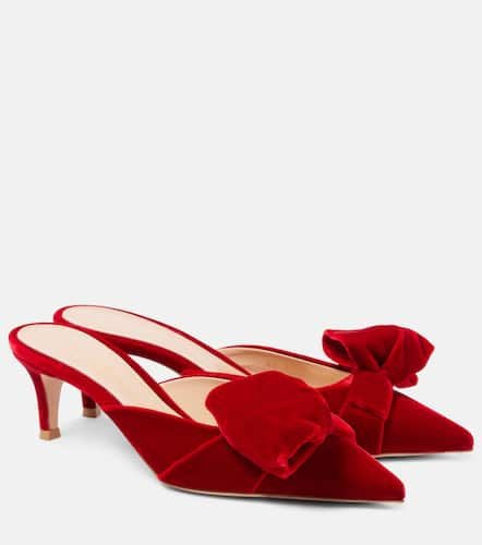 Bow-detail velvet mules - Gianvito Rossi - Modalova