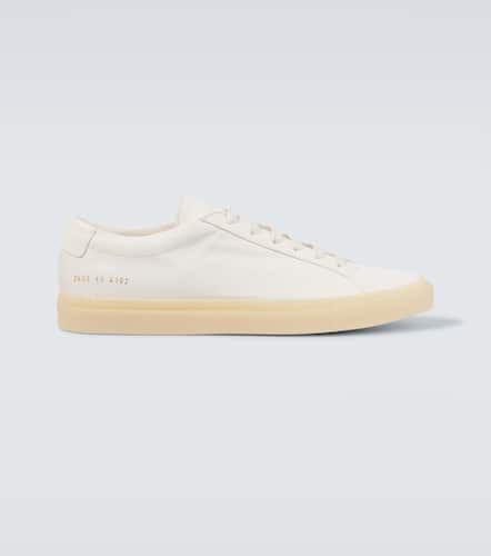 Sneakers Achilles aus Leder - Common Projects - Modalova