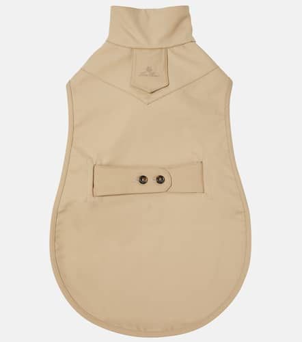 My Doggie cotton dog coat - Loro Piana - Modalova