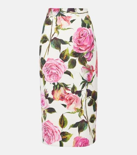 Floral cotton-blend pencil skirt - Dolce&Gabbana - Modalova