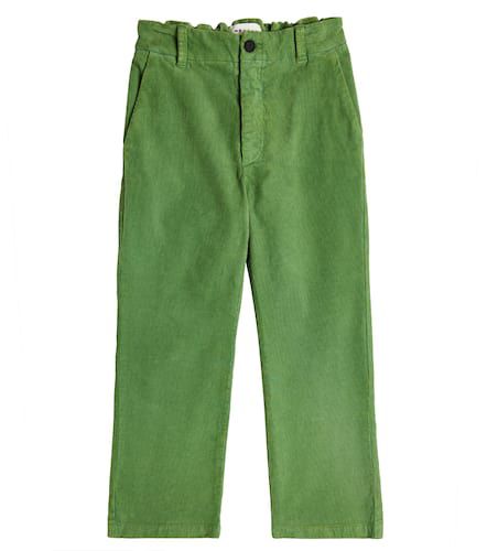 Morley Cotton pants - Morley - Modalova