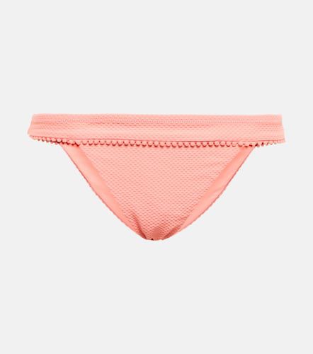 Rosa Polyantha bikini bottoms - Heidi Klein - Modalova