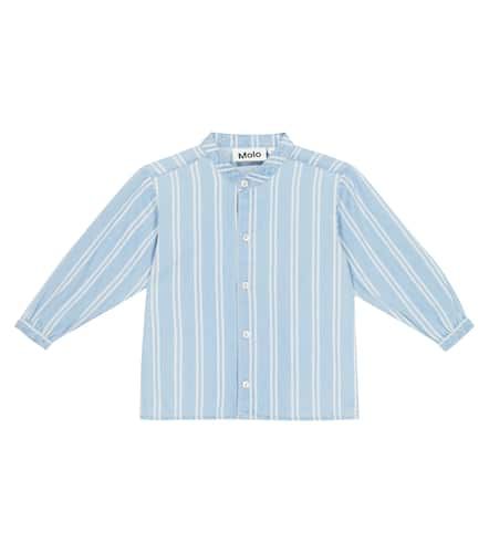 Baby - Camicia Eno in cotone a righe - Molo - Modalova