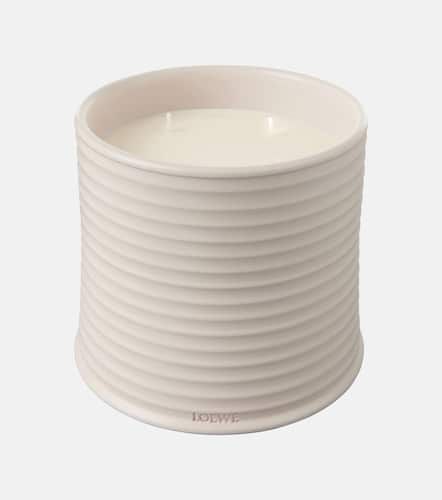 Candela profumata Oregano grande - Loewe Home Scents - Modalova