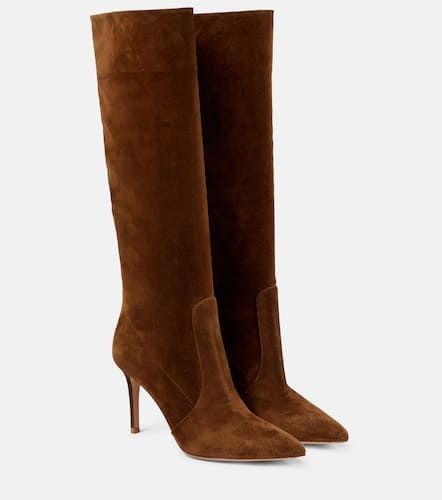 Botas altas Hansen 85 de ante - Gianvito Rossi - Modalova