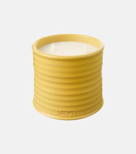 Candela profumata Honeysuckle media - Loewe Home Scents - Modalova