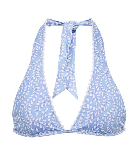 St Kitts halterneck bikini top - Heidi Klein - Modalova