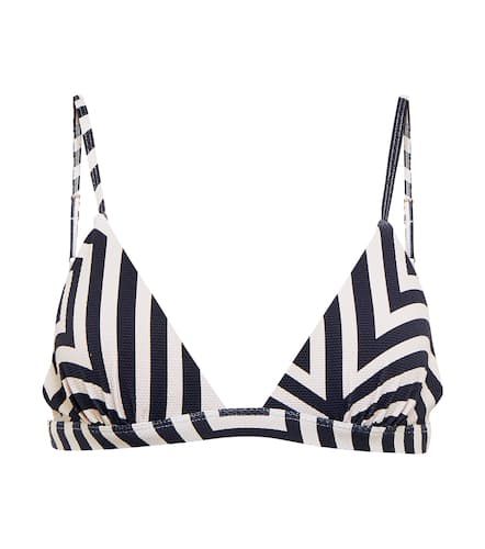 Sienna printed bikini top - Alexandra Miro - Modalova