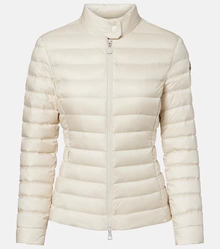 Moncler Daunenjacke - Moncler - Modalova