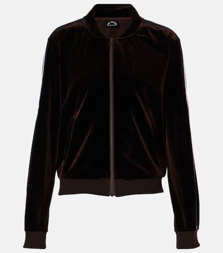 Castilllon Kasia velvet track jacket - The Upside - Modalova