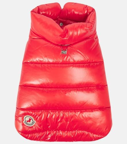 Chaleco acolchado para perro Poldo Dog Couture - Moncler - Modalova