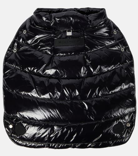 ALYX 9SM dog coat - Moncler - Modalova