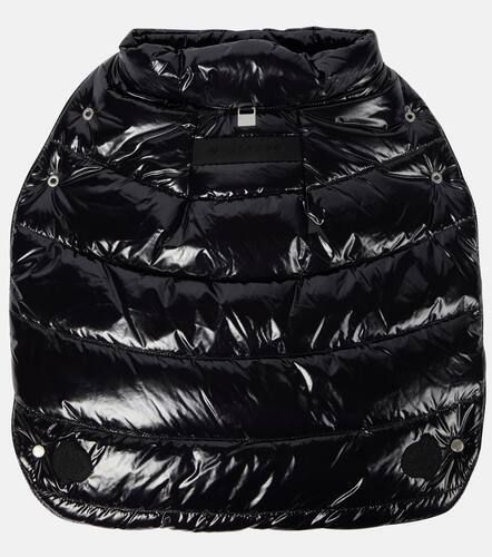 Abrigo para mascota 6 1017 ALYX 9SM - Moncler - Modalova