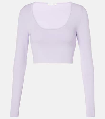 Acacia Knit Scoop ribbed-knit crop top - Zimmermann - Modalova