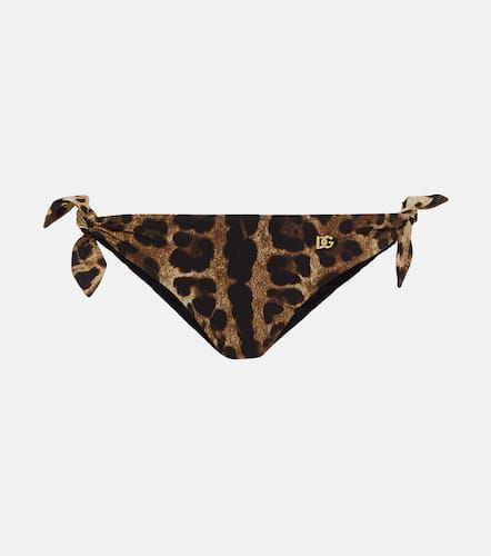 Leopard-print bikini bottoms - Dolce&Gabbana - Modalova