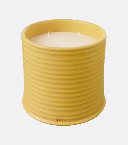 Candela profumata Honeysuckle grande - Loewe Home Scents - Modalova